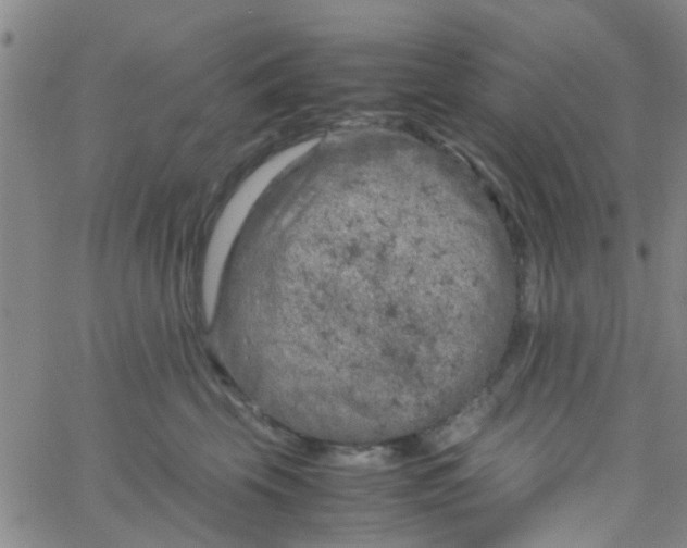 X0000061740569200512231503