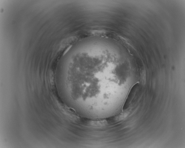 X0000061740571200512231503