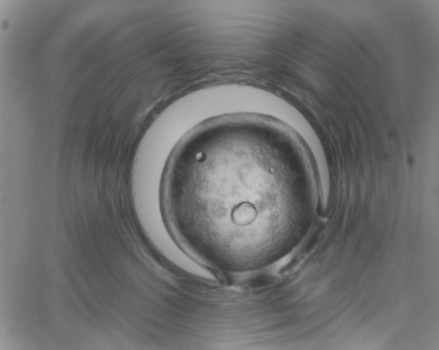 X0000061740572200512231503