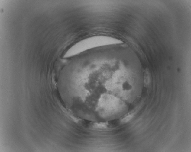 X0000061740573200512231503