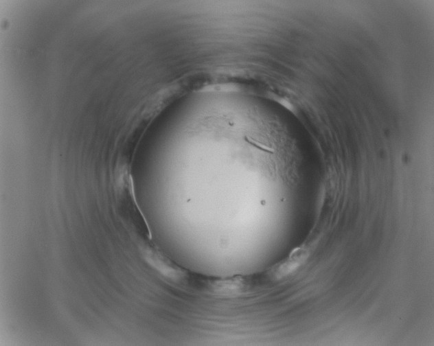 X0000061740574200512231503