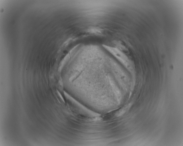 X0000061740576200512231503