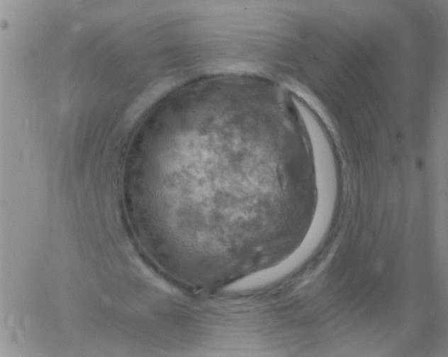 X0000061740577200512231502