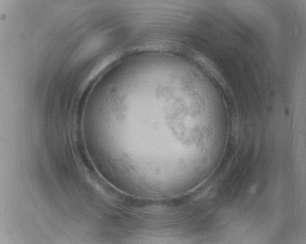 X0000061740578200512231502