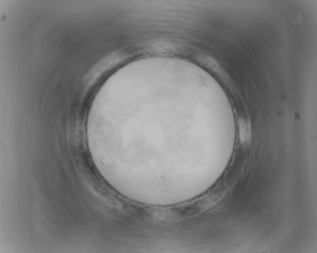 X0000061740579200512231502