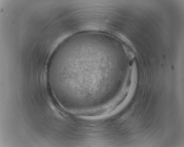 X0000061740580200512231502