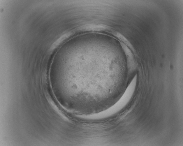 X0000061740581200512231502