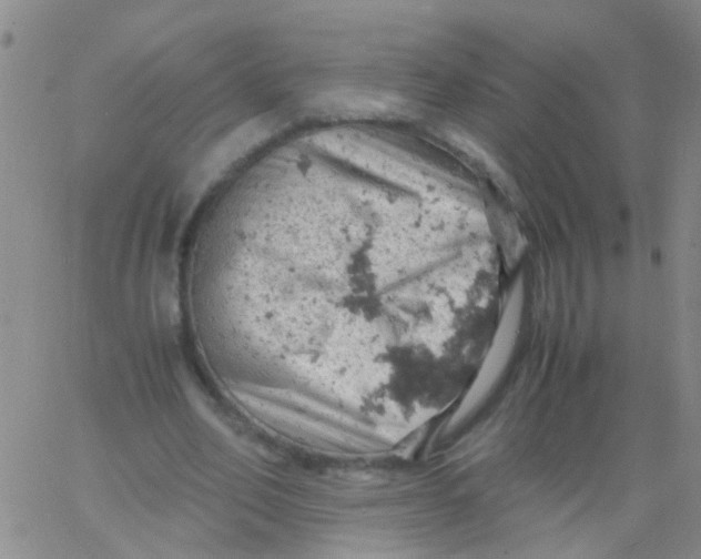 X0000061740582200512231502