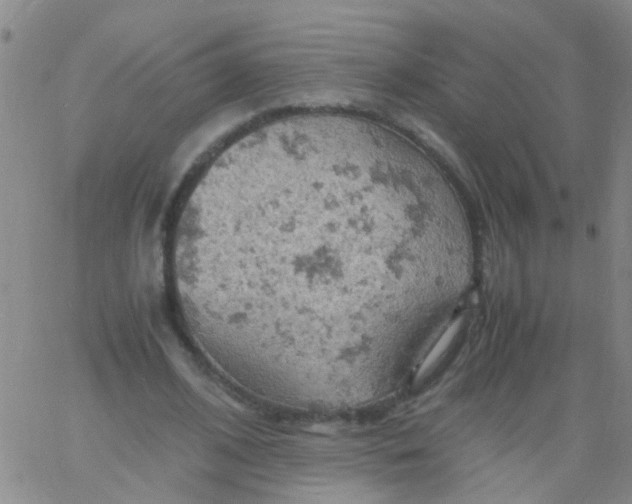 X0000061740584200512231502