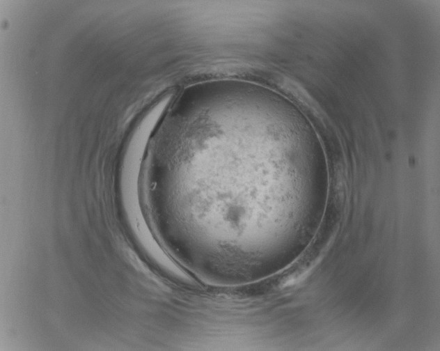 X0000061740585200512231502