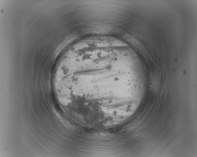 X0000061740586200512231502