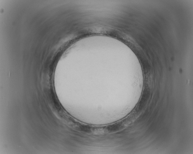 X0000061740587200512231502