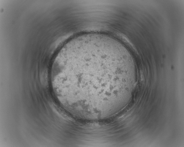 X0000061740588200512231502