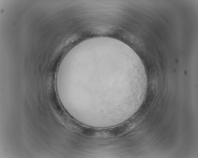 X0000061740591200512231502