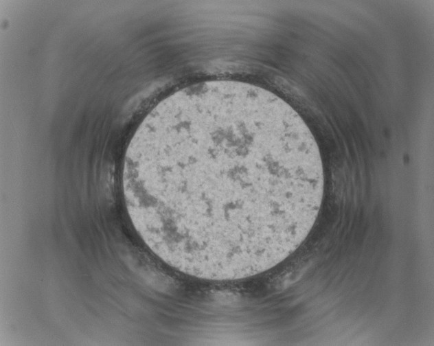 X0000061740592200512231502