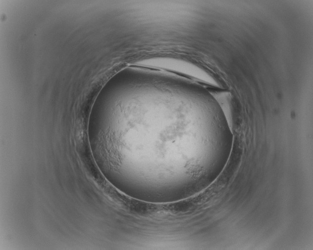 X0000061740593200512231502