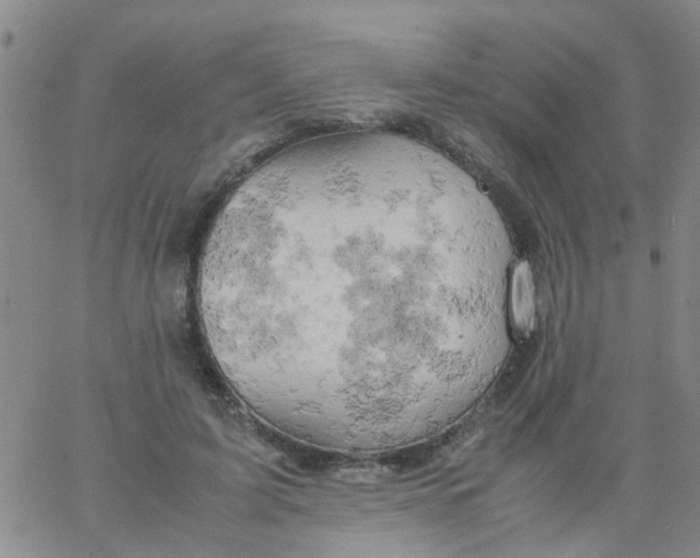 X0000061740595200512231502