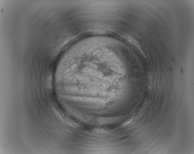 X0000061740596200512231502