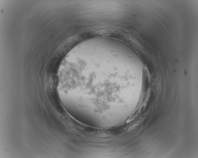 X0000061740597200512231502