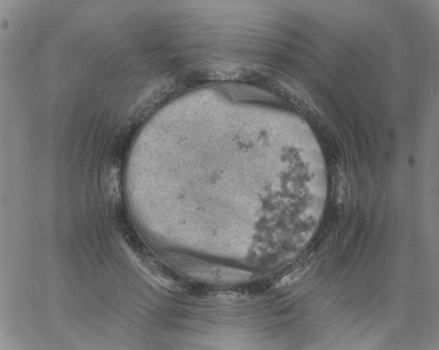 X0000061740598200512231502