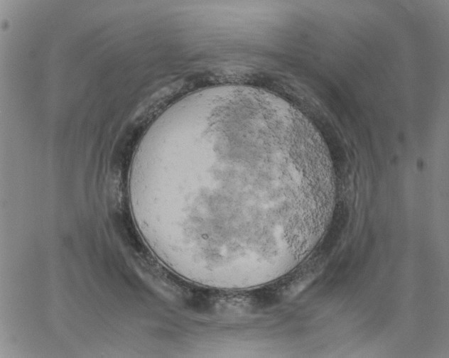 X0000061740599200512231502