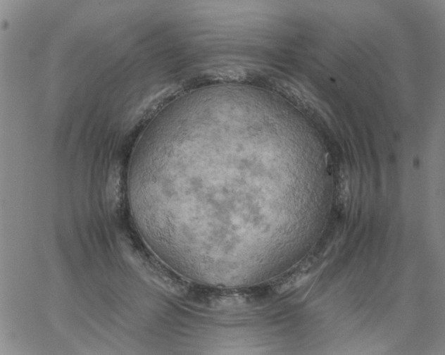 X0000061740600200512231502