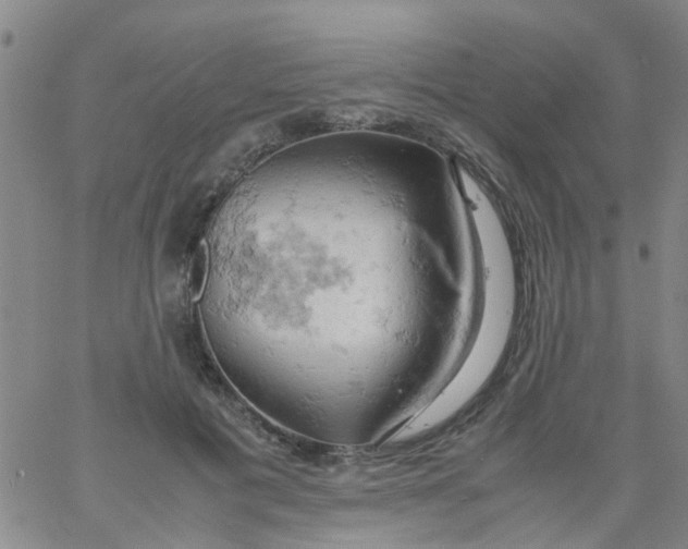 X0000061740601200512231502