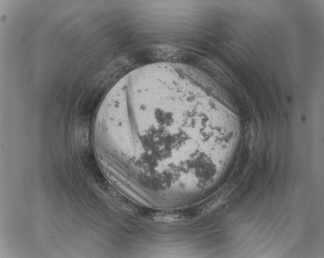 X0000061740602200512231502