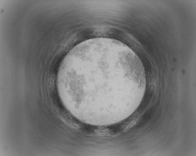 X0000061740603200512231502