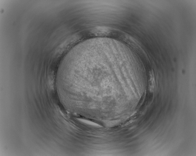 X0000061740604200512231502