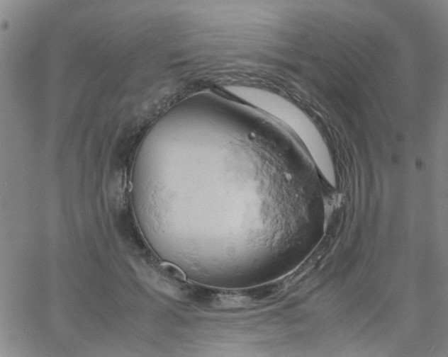 X0000061740605200512231502