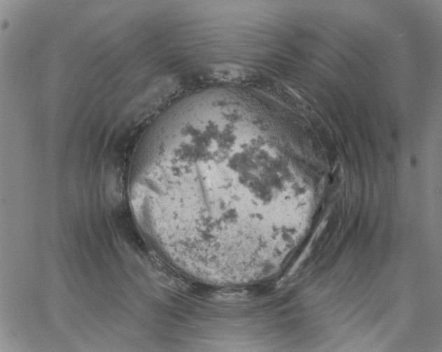 X0000061740606200512231502