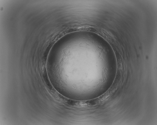 X0000061740607200512231502