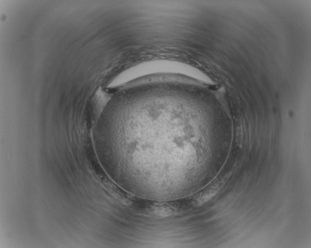 X0000061740608200512231502