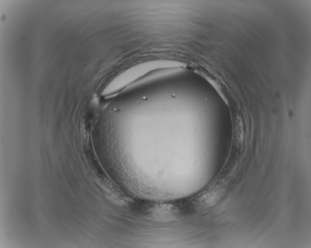 X0000061740609200512231502