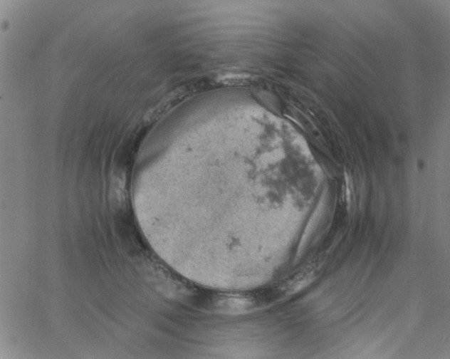 X0000061740610200512231502