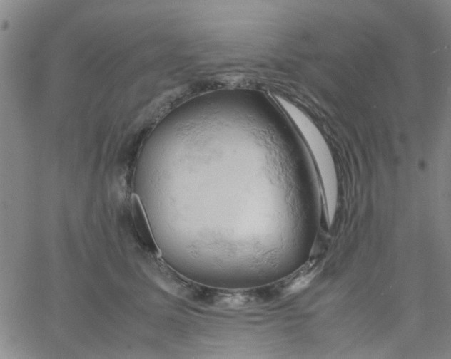 X0000061740611200512231502