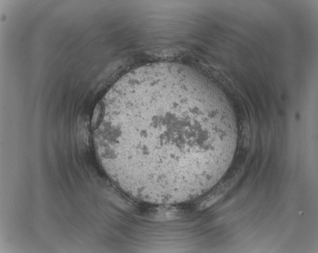 X0000061740612200512231502