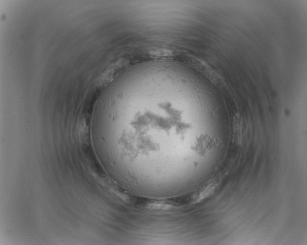 X0000061740614200512231502