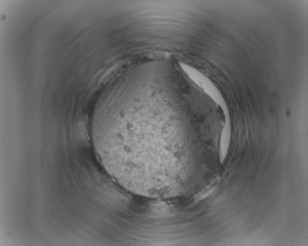 X0000061740616200512231502