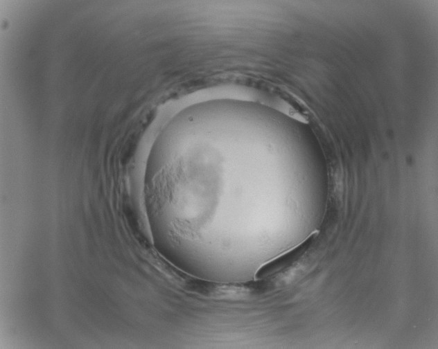 X0000061740617200512231502