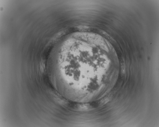 X0000061740618200512231501