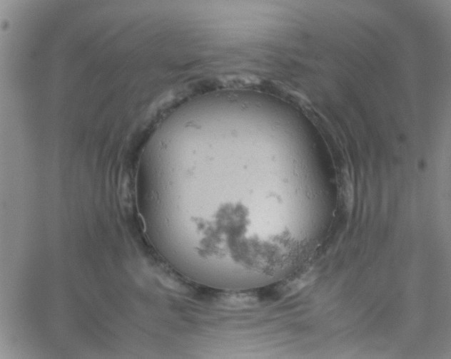 X0000061740619200512231501