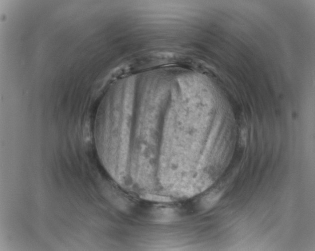 X0000061740620200512231501