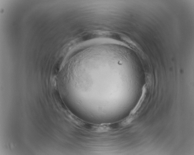 X0000061740621200512231501