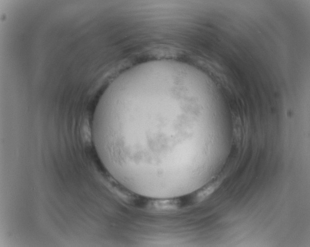 X0000061740622200512231501