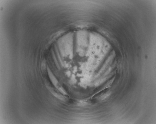 X0000061740623200512231501