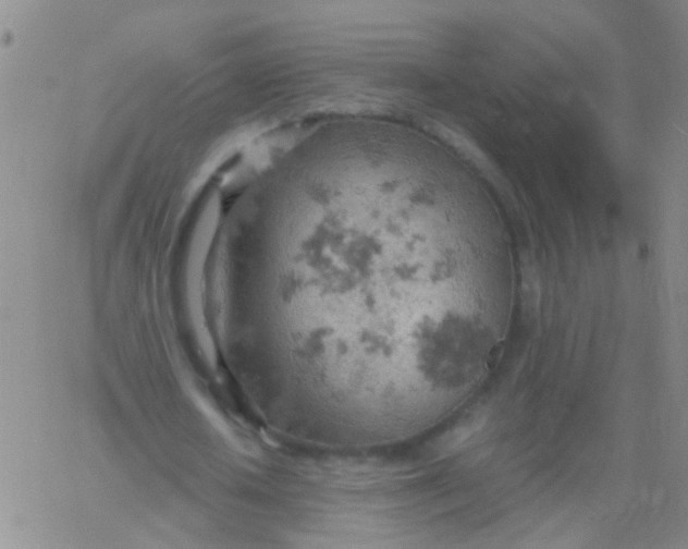 X0000061740626200512231501