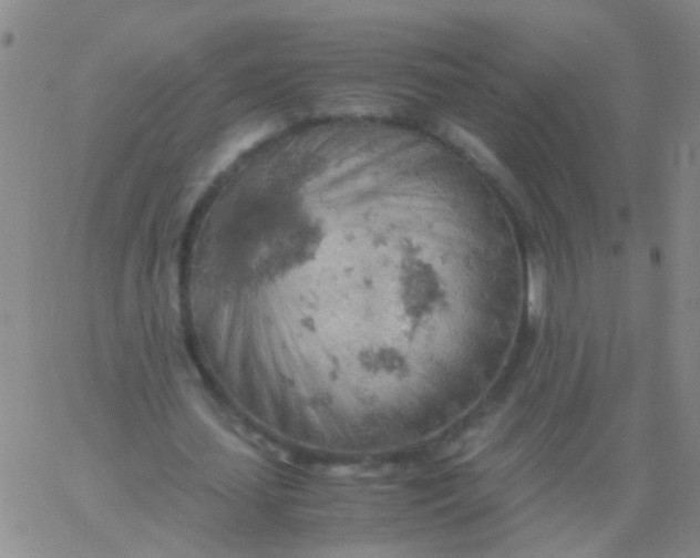 X0000061740627200512231501