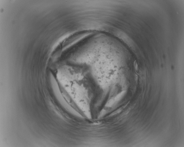 X0000061740628200512231501